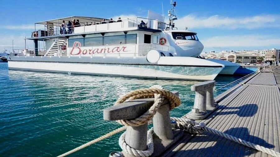 Valencia: Catamaran Cruise with Stop for Swimming - Key points before you book