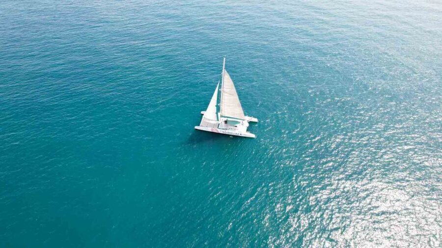 Valencia: Sailing Catamaran Cruise with Valencian Lunch - My verdict: book it for the water, paella, and swim