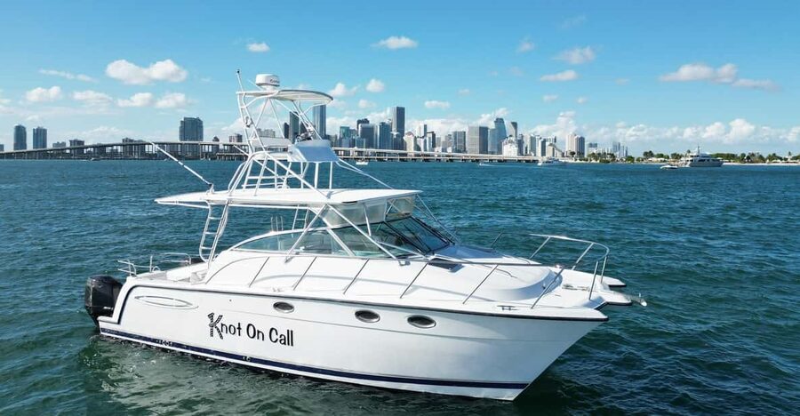 Valencia: VIP Sunset Cruise in Catamaran with drink - The drink, music, and small-boat atmosphere