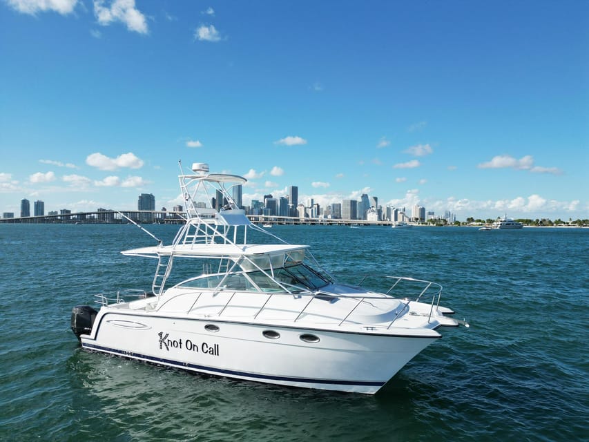 Valencia: VIP Sunset Cruise in Catamaran with drink - Who will enjoy this most?