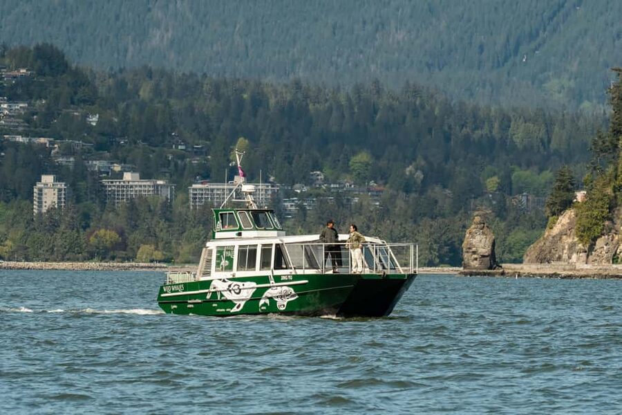 Vancouver: Catamaran Whale Watching Tour, Granville Island - Key things to know before boarding