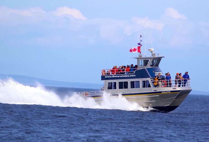 Victoria BC: 3-Hour Whale Watching Expedition - Who will enjoy this tour most?