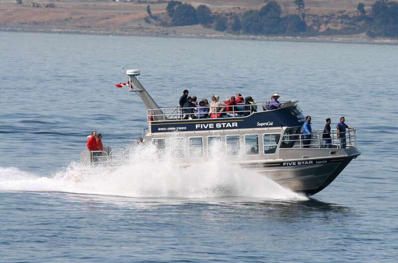 Victoria BC: 3-Hour Whale Watching Expedition - A catamaran built for clear views