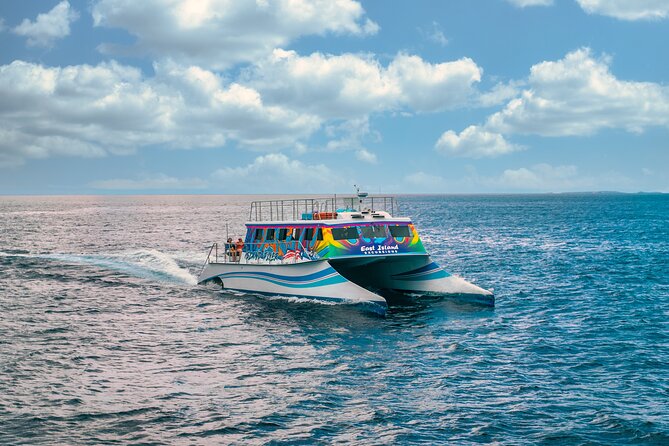 Vieques: Beach and Snorkeling Tour by Catamaran from Fajardo - Four hours of swimming, beachcombing, and snorkeling