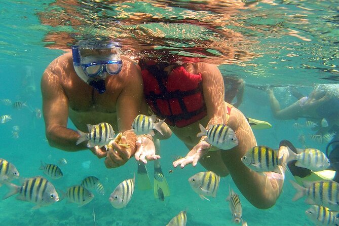 VIP Catamaran with Snorkeling - The early pickup and first part of the outing