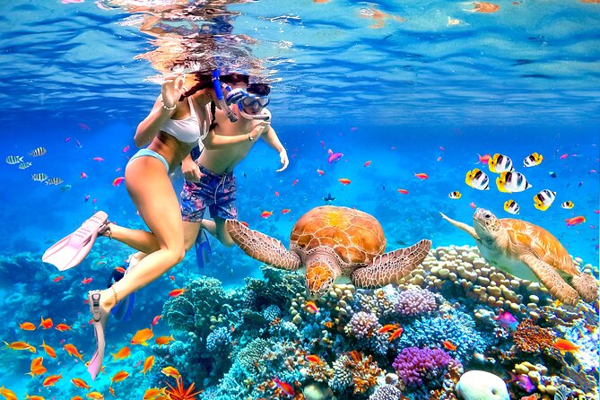 Waikiki Catamaran Escape: Snorkel with Turtles & Water Sports Fun - From Waikiki hotels to Pier D