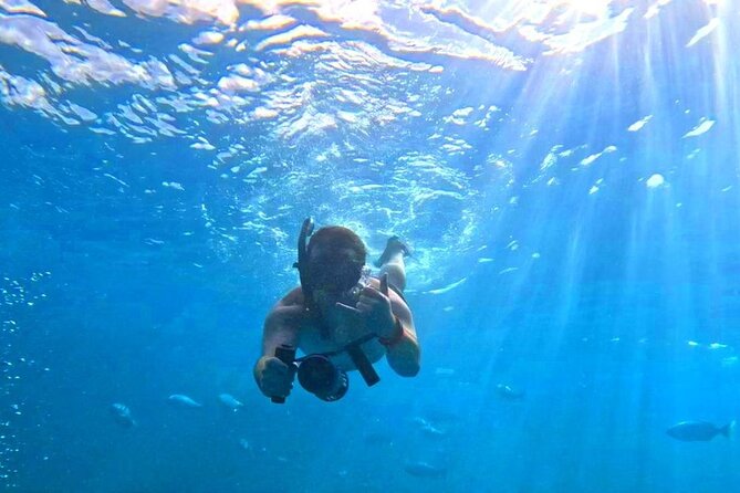 Waikiki Catamaran Escape: Snorkel with Turtles & Water Sports Fun - Is $120.69 a fair price?