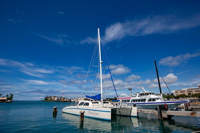 Waikiki Catamaran Snorkel Sail with Lunch: Turtles Guaranteed - How much value do you get for $134.95?