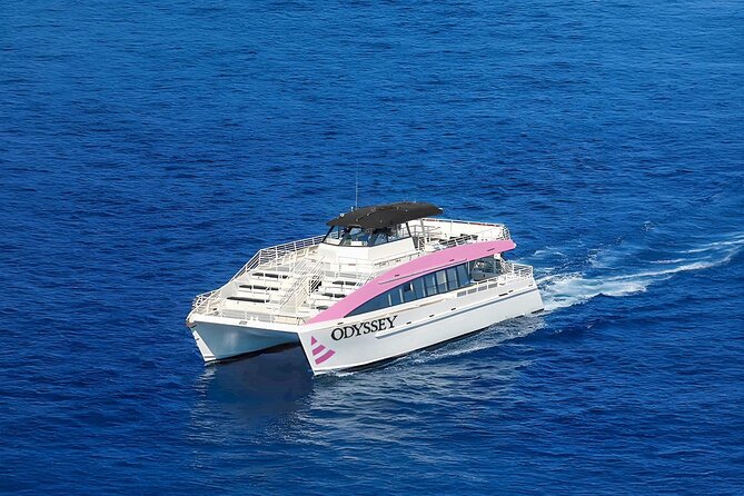 Waikiki: Friday Night Fireworks Catamaran Cruise - Practical details that make the night easier