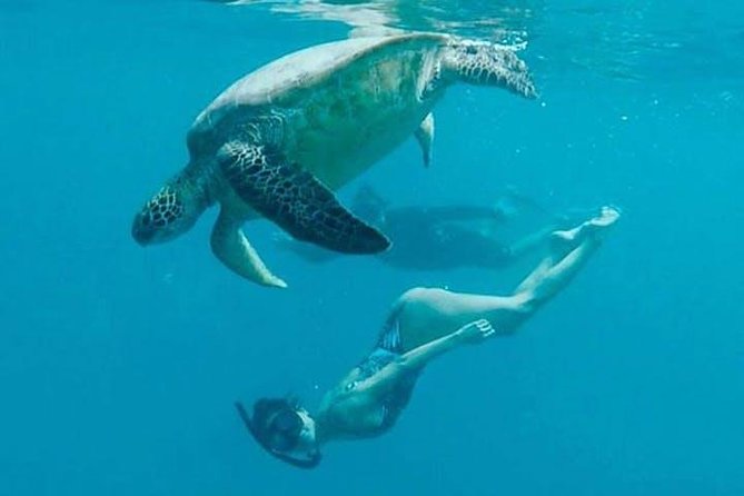 Waikiki Turtle Snorkel and Sail on Hawea Catamaran - Leaving Waikiki from the Duke Kahanamoku Statue