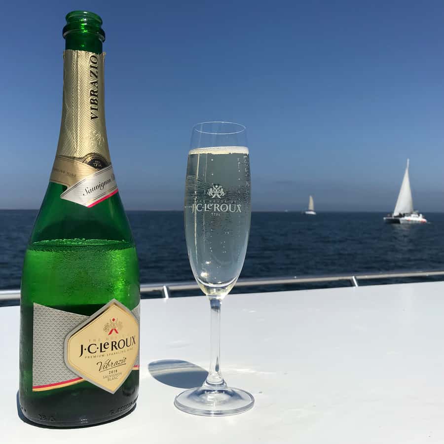 Walvis Bay: Marine Big 5 Luxury Catamaran Tour - Lunch at sea with Namibian oysters