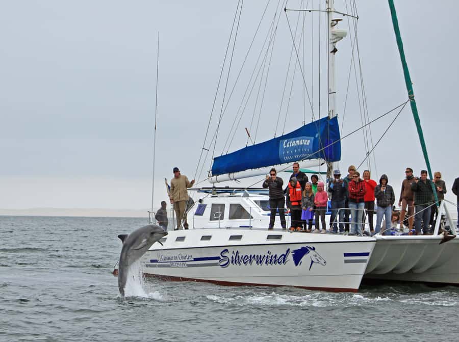 Walvis Bay: Marine Big 5 Luxury Catamaran Tour - Who will enjoy this catamaran most?