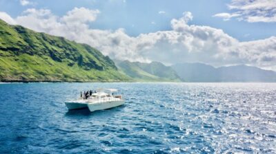 Swim with Dolphins Catamaran Cruise