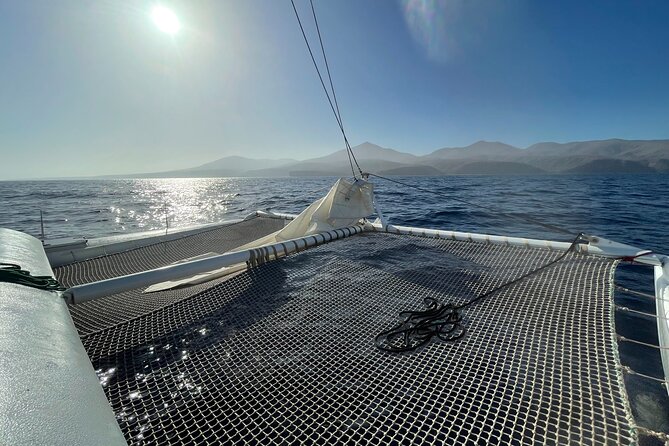 Whale & Dolphin Observation on Silent Catamaran with Hydrophone - Key points to know before you book