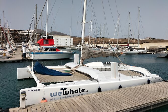 Whale & Dolphin Observation on Silent Catamaran with Hydrophone - Setting out from Puerto Calero at 9:00 am