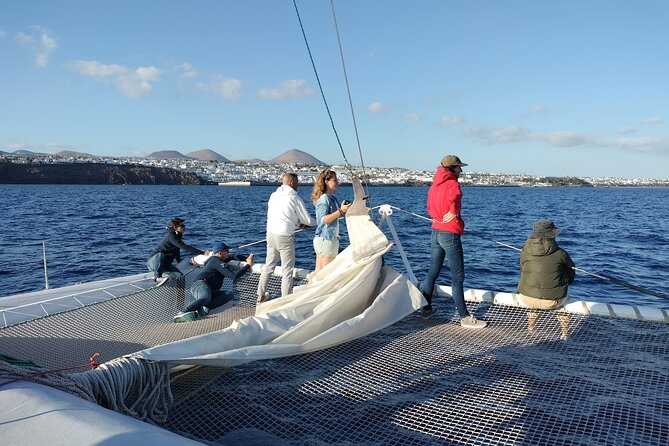 Whale & Dolphin Observation on Silent Catamaran with Hydrophone - Conservation gives the high price more context