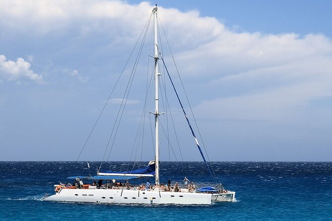 Whale & Dolphin Watching in Tenerife (Puerto Colon) On a Large Catamaran - Key points at a glance