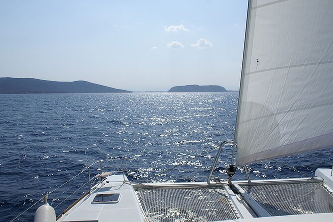 Whale & Dolphin Watching in Tenerife (Puerto Colon) On a Large Catamaran - Understanding the $54.29 price