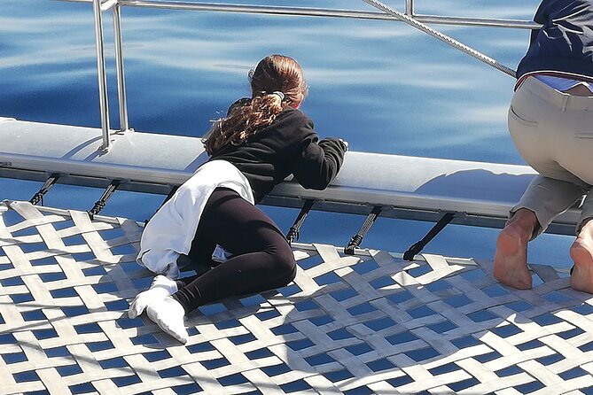 Whale & Dolphin Watching With Mustcat Virgin Coast Trip On a Large Catamaran - Anchoring Near the Beach or Palm Mar Cave