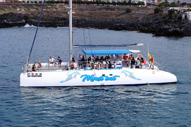 Whale & Dolphin Watching With Mustcat Virgin Coast Trip On a Large Catamaran - Who Will Enjoy This Trip Most?