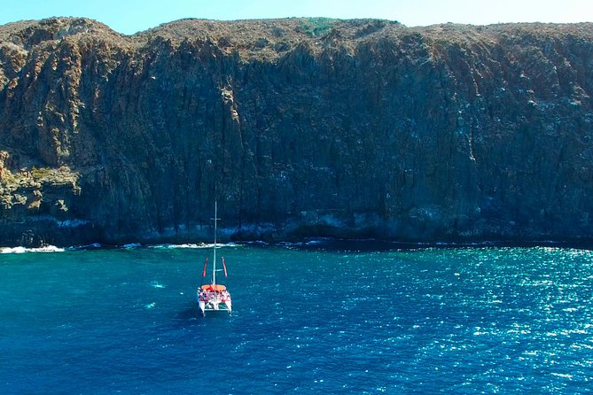 Whale watching and listening Eco-Catamaran Tour with Food Tasting - Setting sail from Puerto Colón