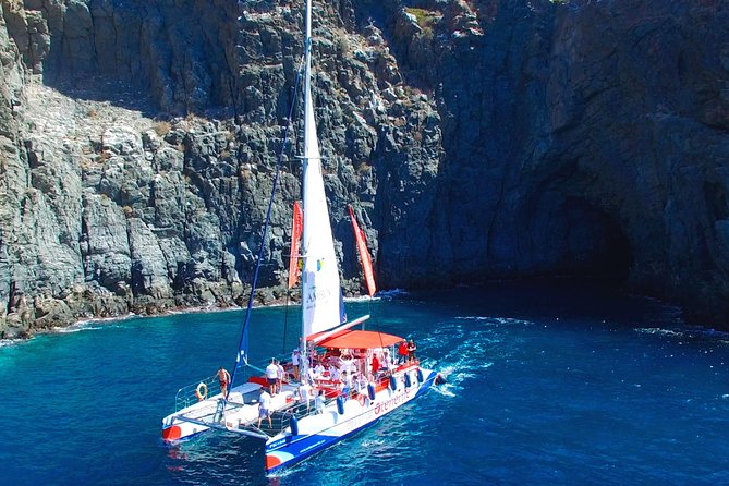 Whale watching and listening Eco-Catamaran Tour with Food Tasting - Hearing the ocean through an underwater microphone
