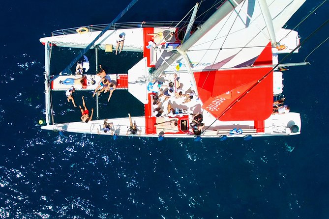 Whale watching and listening Eco-Catamaran Tour with Food Tasting - A swim stop in a sheltered bay
