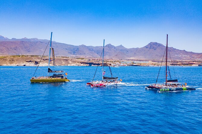 Whale Watching Catamaran in Costa Adeje (Including drinks & Sandwich) - Sandwiches, open drinks, and onboard extras