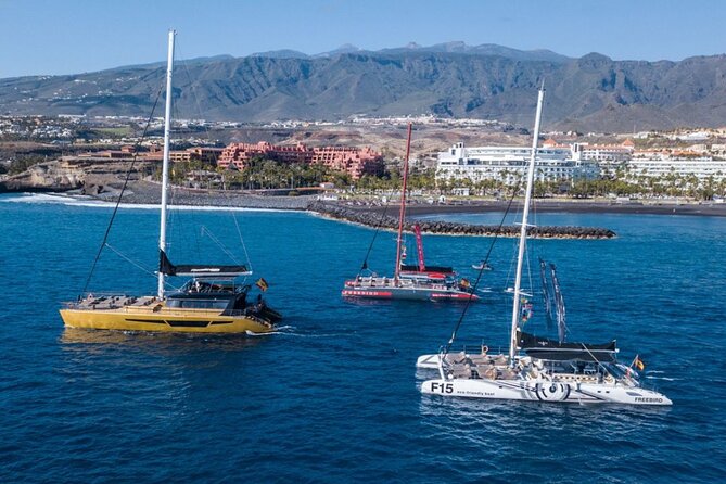 Whale Watching Catamaran in Costa Adeje (Including drinks & Sandwich) - How the crew affects the day