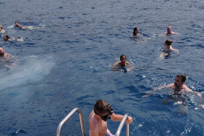 Whale Watching Catamaran in Costa Adeje (Including drinks & Sandwich) - Who should book this Costa Adeje cruise?