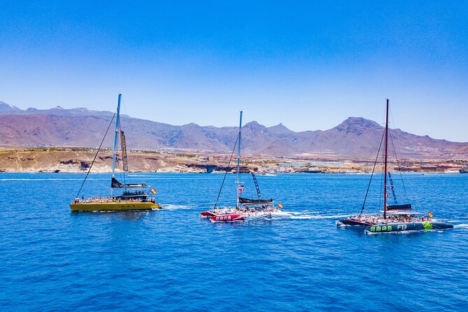 Whale Watching Catamaran to Los Gigantes & Masca (Including drinks & warm lunch) - Lunch, beer, soft drinks, and the practical value
