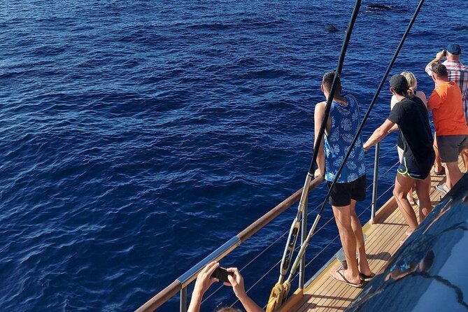 Whale Watching Catamaran to Los Gigantes & Masca (Including drinks & warm lunch) - How crowded and comfortable is the catamaran?