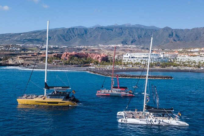 Whale Watching Catamaran to Los Gigantes & Masca (Including drinks & warm lunch) - Who will get the most from this cruise?
