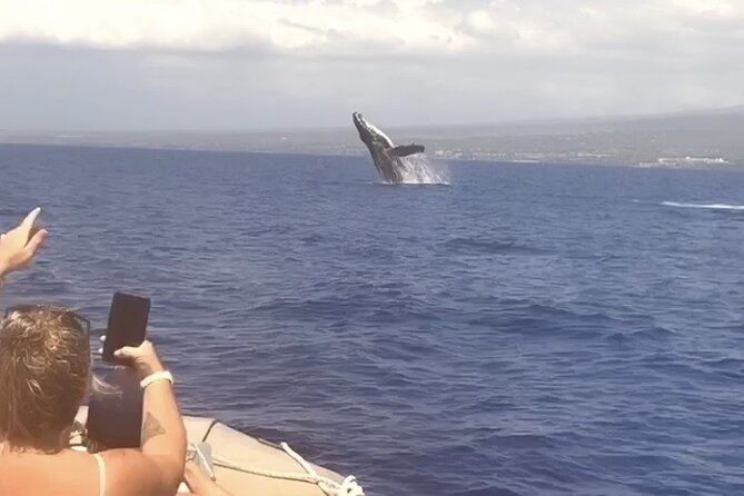Whale Watching Tour on a Charming Hawaiian Catamaran From Maalaea - The first minutes: leaving Maalaea Harbor