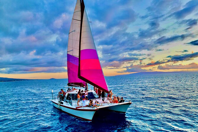 Whale Watching Tour on a Charming Hawaiian Catamaran From Maalaea - Hearing the whales with the hydrophone