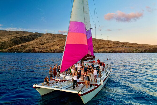 Whale Watching Tour on a Charming Hawaiian Catamaran From Maalaea - What you can see during whale season
