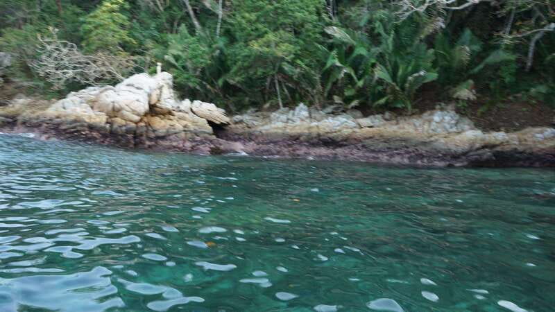 Yelapa: Catamaran Cruise with Lunch and Open Bar - Practical Tips for a Better Day