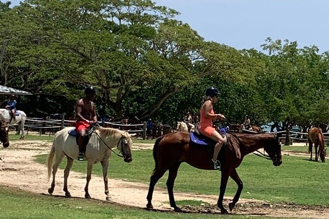 Zipline, Horseback Ride, ATV and Catamaran from Montego Bay - Hotel pickup makes the busy schedule easier